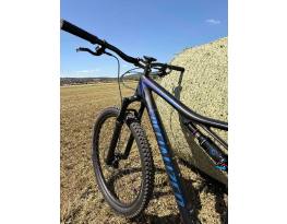 Specialized Epic Pro Carbon 29er L-es