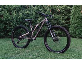 Specialized EVO Comp