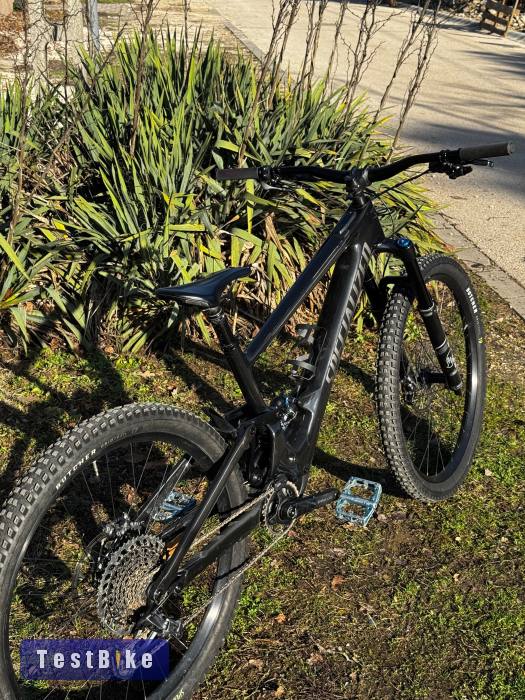 Specialized Kenevo SL 29”