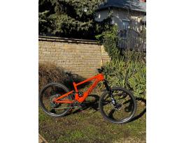 Specialized Kenevo SL 29” S4