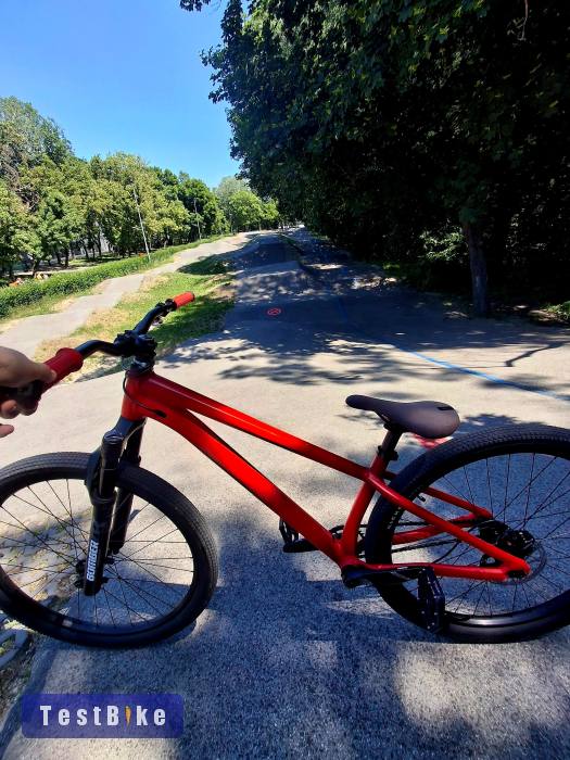 Specialized p.4 dirtjump