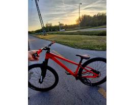 Specialized p.4 dirtjump