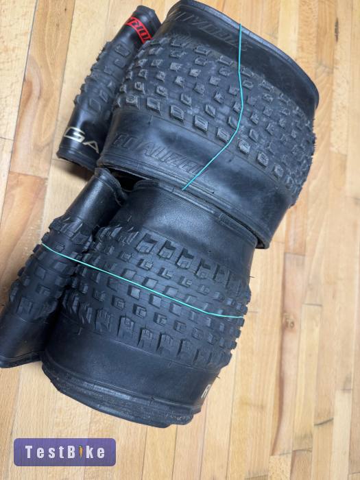 Specialized S-Works Renegade 29x2.35 TLR