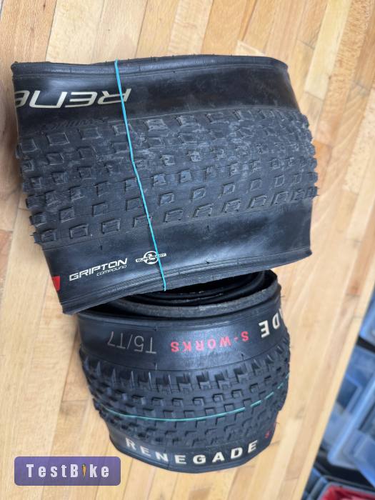 Specialized S-Works Renegade 29x2.35 TLR
