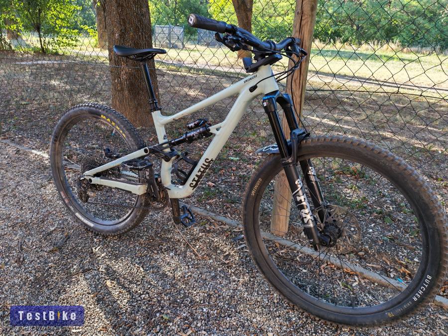 Specialized Status 