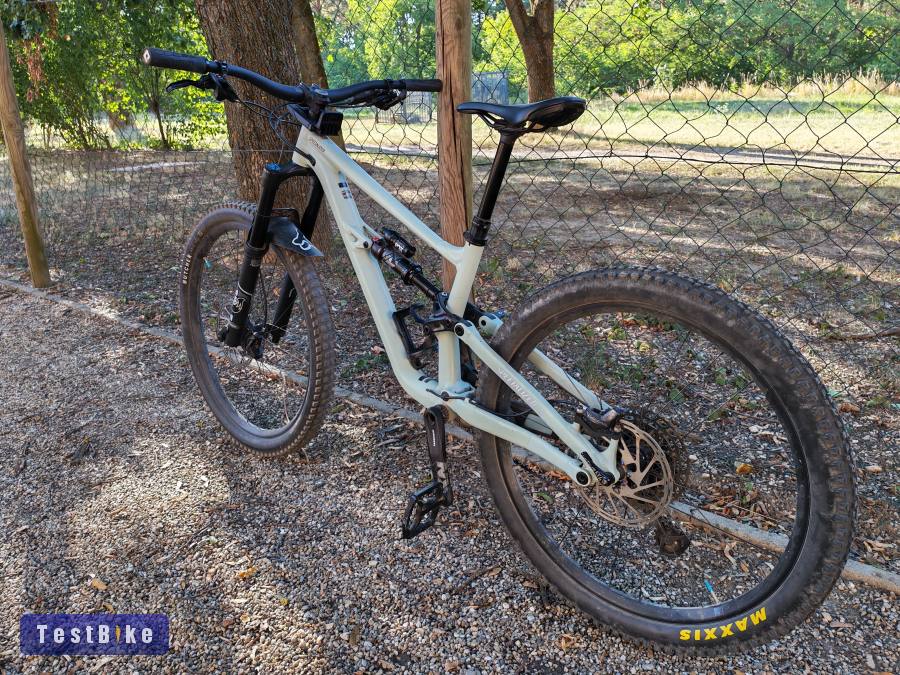 Specialized Status 