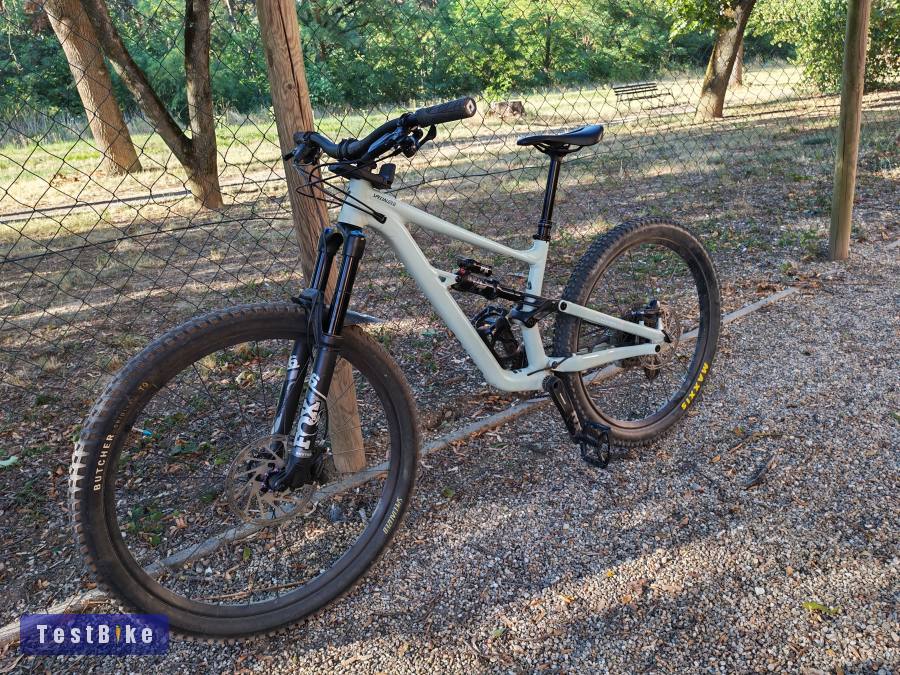 Specialized Status 