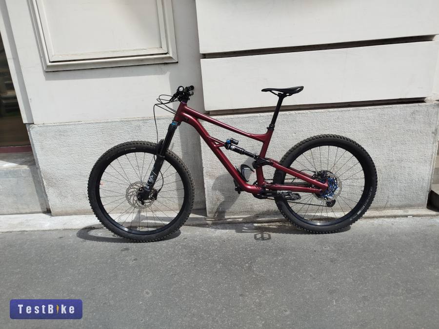 Specialized Status 