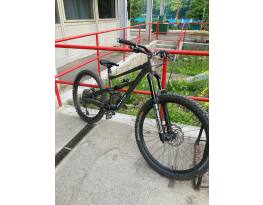 Specialized status 160