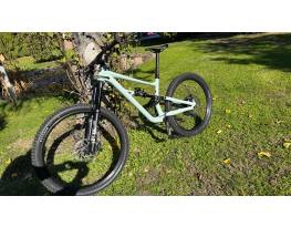 Specialized Status 160 S3