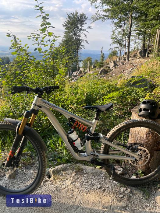 Specialized Stumpjumper 15 Fox Coil