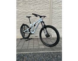 Specialized Stumpjumper Evo 2024