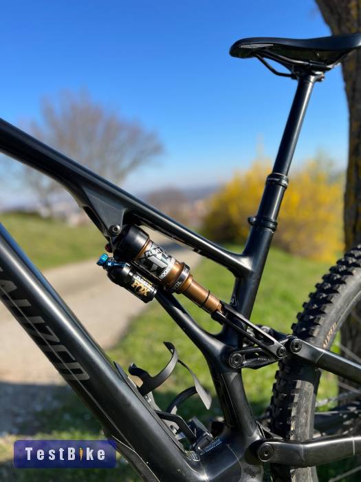 Specialized Stumpjumper Evo 29