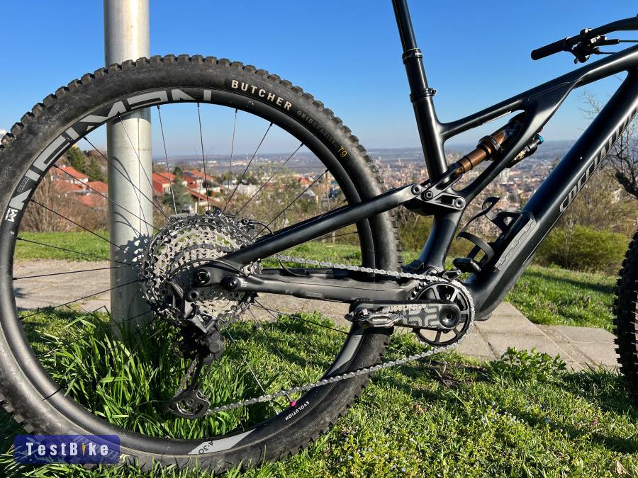 Specialized Stumpjumper Evo 29