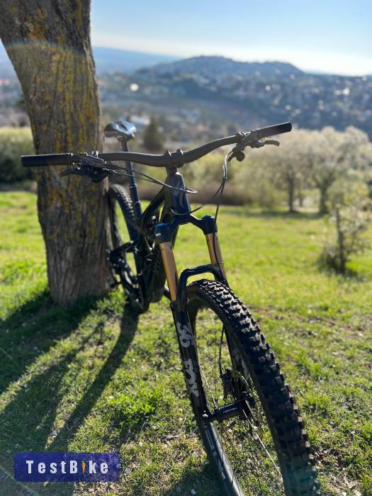 Specialized Stumpjumper Evo 29