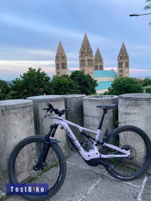 Specialized Turbo Levo 29” ebike