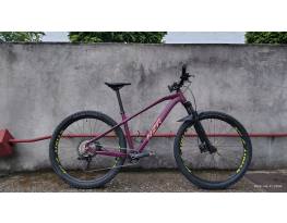 Specialized Turbo Levo HT/Neuzer Jumpo Pro