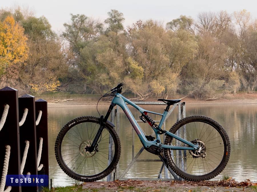 Specialized Turbo Levo SL comp Carbon
