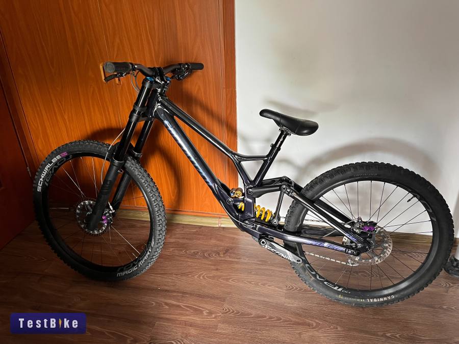 Specialized Demo Race Custom