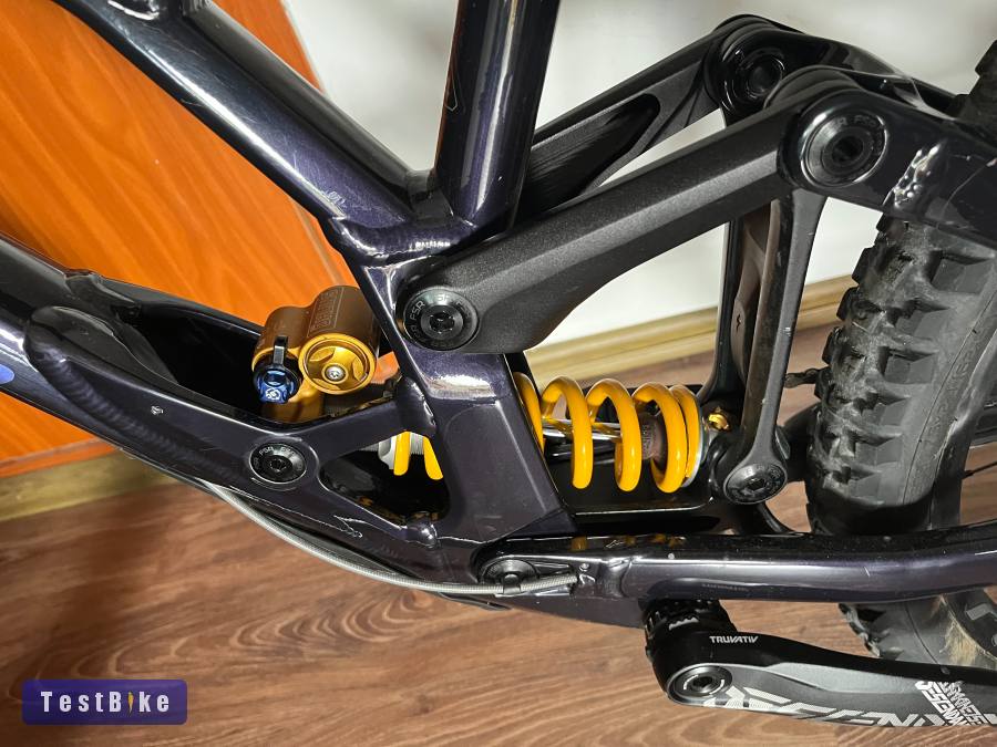 Specialized Demo Race Custom