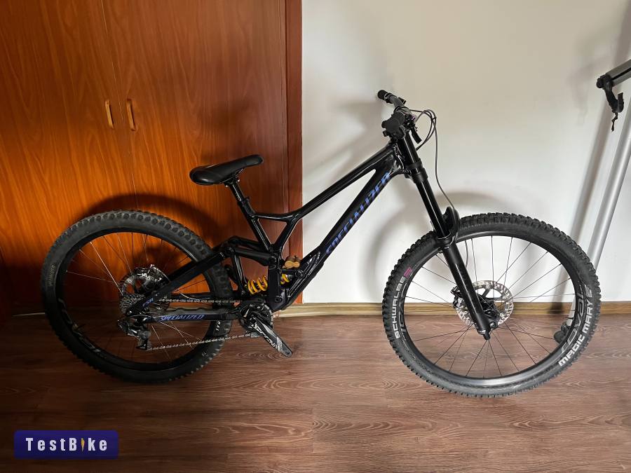 Specialized Demo Race Custom