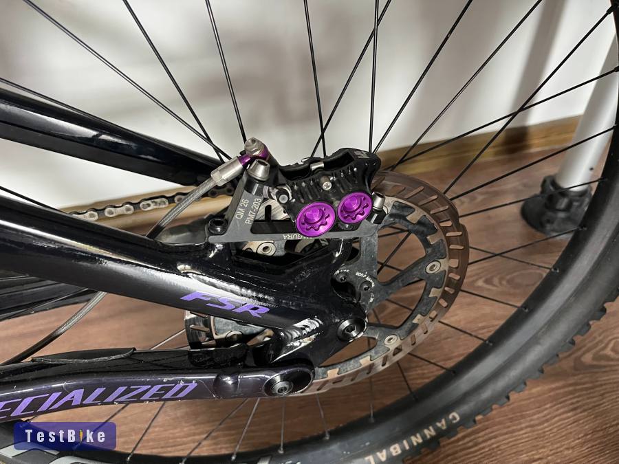 Specialized Demo Race Custom