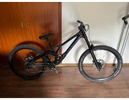 Custom Specilaized Demo Race 