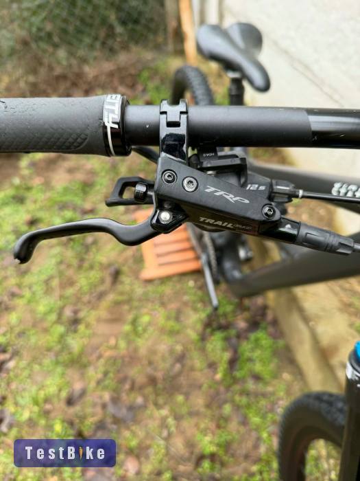 Specilazed Status AL 2025