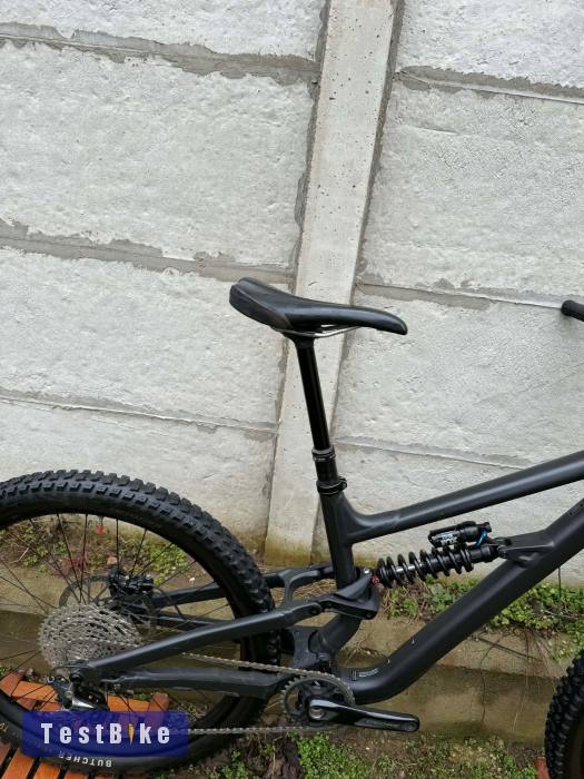 Specilazed Status AL 2025