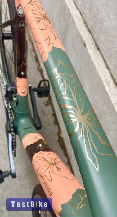 Specileized Limitált di2 szettes országúti 