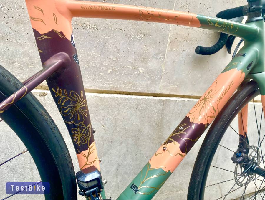 Specileized Limitált di2 szettes országúti 