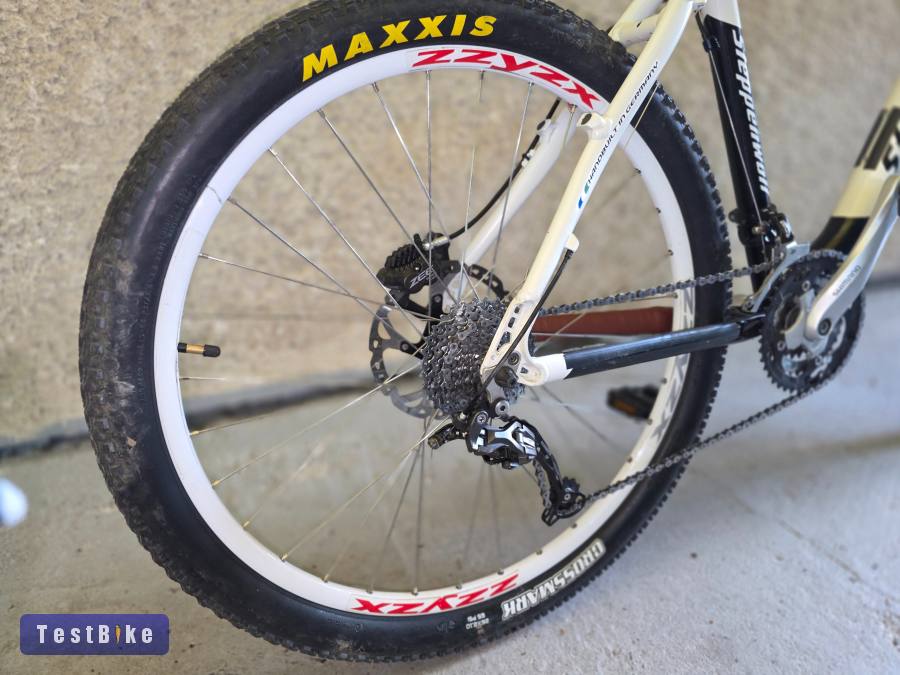 Steppebwolf Edition Timber