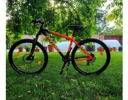 Stevens Team RC mtb