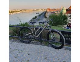Stumpjumper EVO Comp Alloy 29"