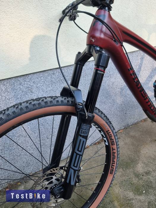Transition Sentinel V1 Carbon L-es 