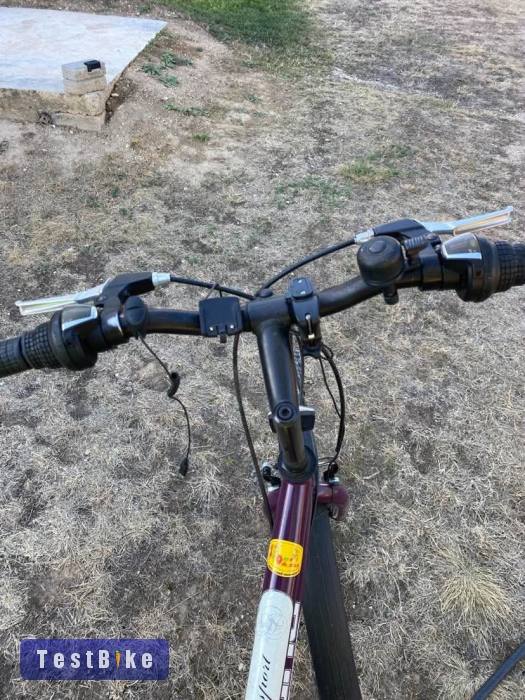 TransMontana MTB 1.0