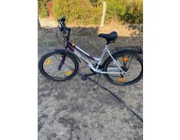 TransMontana MTB 1.0