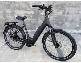 Trek District+ Bosch Smart/725Wh