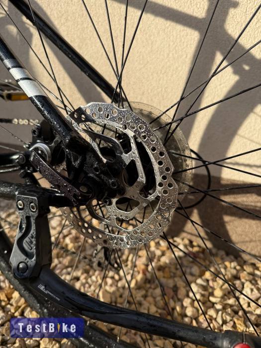 Trek Dual Sport 3 (2021)