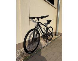 Trek Dual Sport 3 (2021)