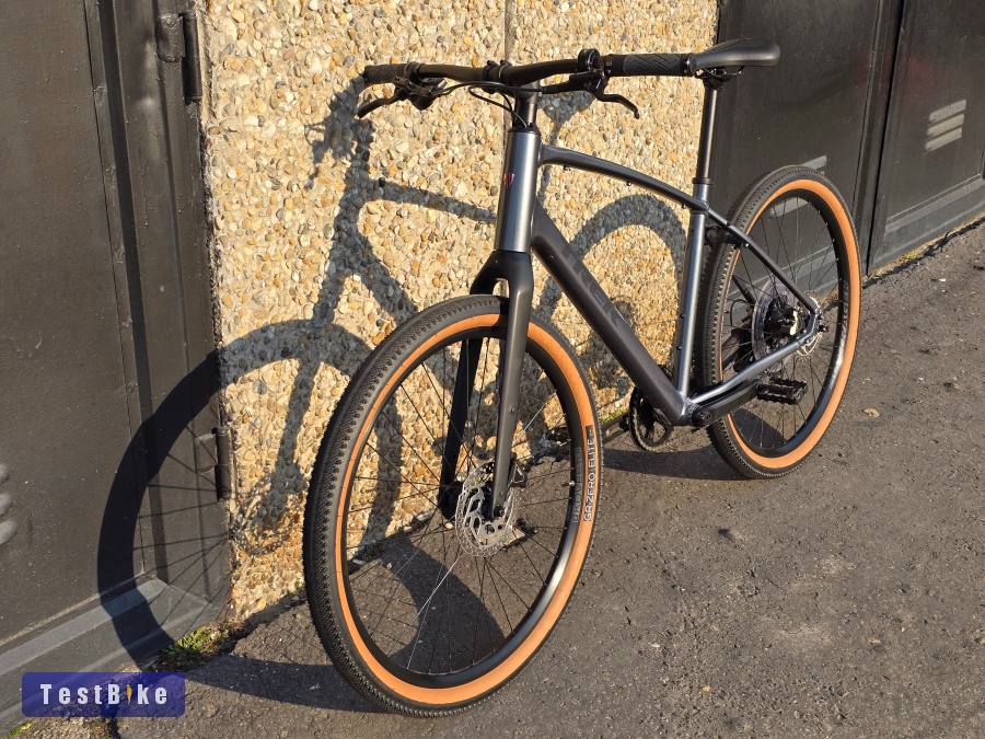Trek Dual Sport 3 (Gen 5.)