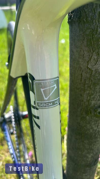 Trek Madone 3.1 karbon 58cm