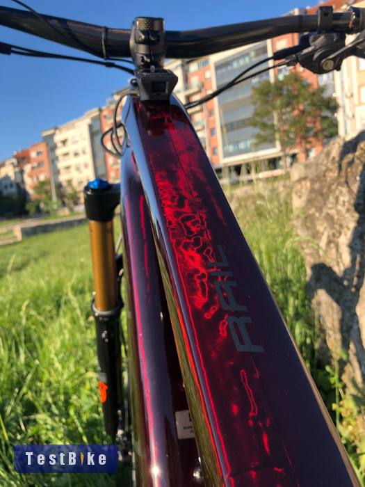 Trek Rail 9.8 XT Carbon Red Smoke/Lithium Grey (L)