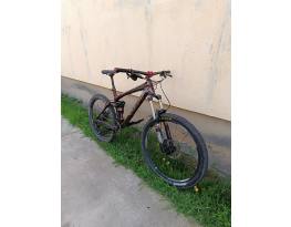 Trek Remedy 