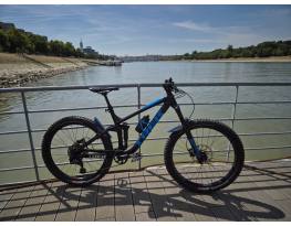 Trek Remedy 7