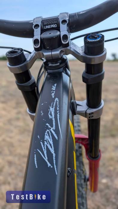 Trek Session L Mullet 2021