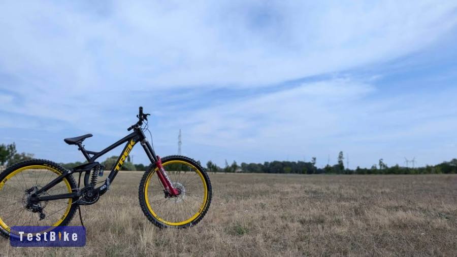 Trek Session L Mullet 2021