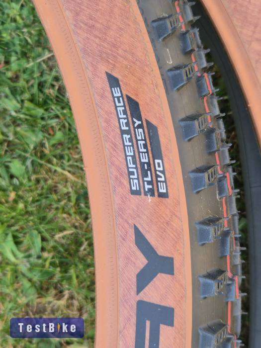 Új schwalbe racing ray evo párban