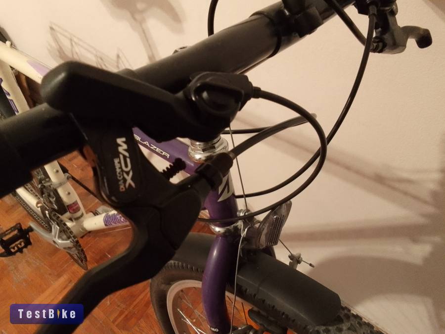 Vintage Bridgestone mb-6 mtb