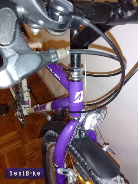 Vintage Bridgestone mb-6 mtb